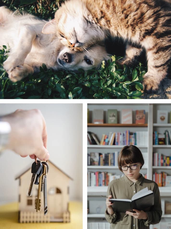 Benefits illustration